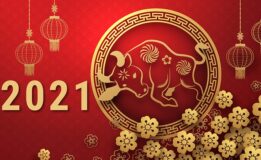 Vector background tết 2021 mới nhất đầy cảm hứng đón tết Tân Sửu