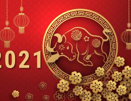 Vector background tết 2021 mới nhất đầy cảm hứng đón tết Tân Sửu